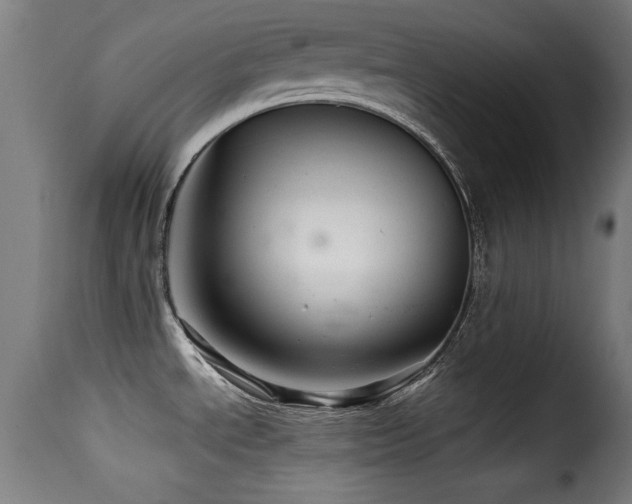 X0000116001534200911191413