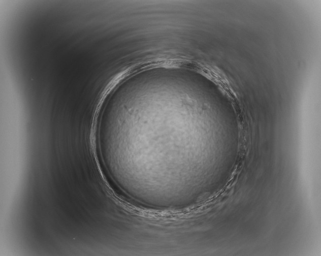 X0000116000003200911251109