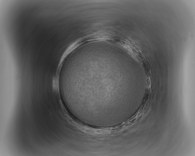 X0000116000004200911251109