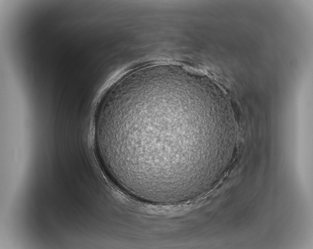 X0000116000005200911251109