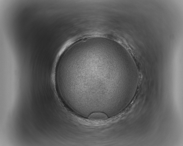 X0000116000006200911251109