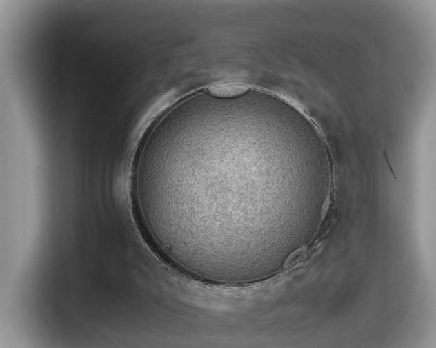 X0000116000007200911251109