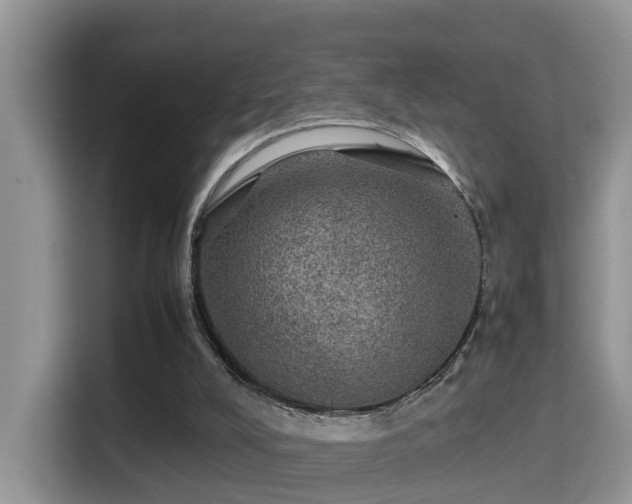 X0000116000008200911251109