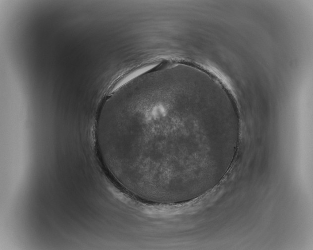 X0000116000009200911251109