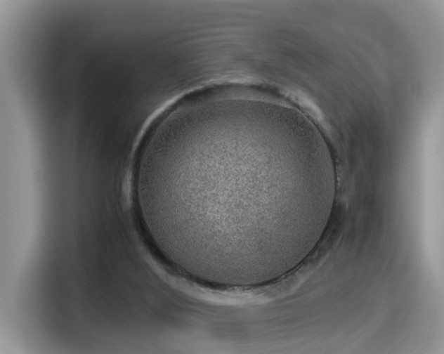 X0000116000012200911251109