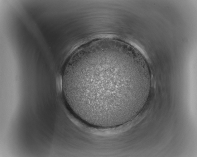 X0000116000013200911251109