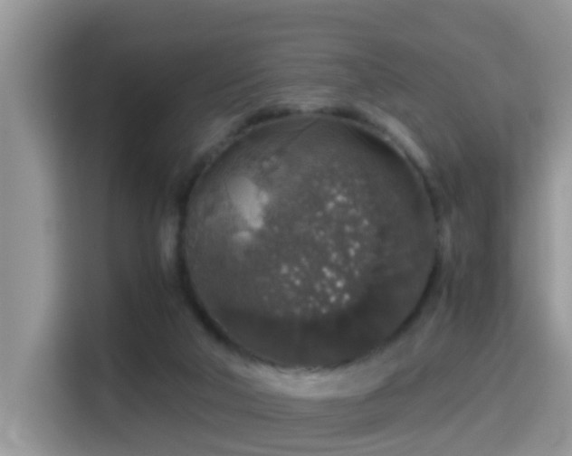 X0000116000018200911251109