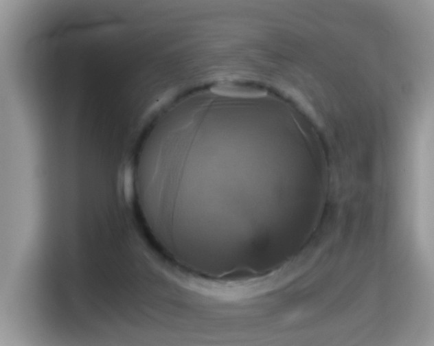 X0000116000019200911251109