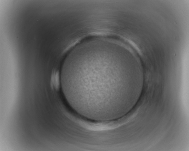 X0000116000020200911251109