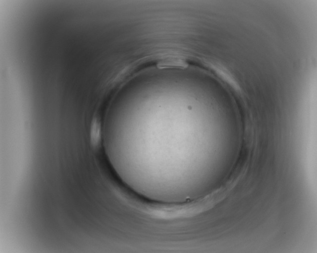 X0000116000021200911251109