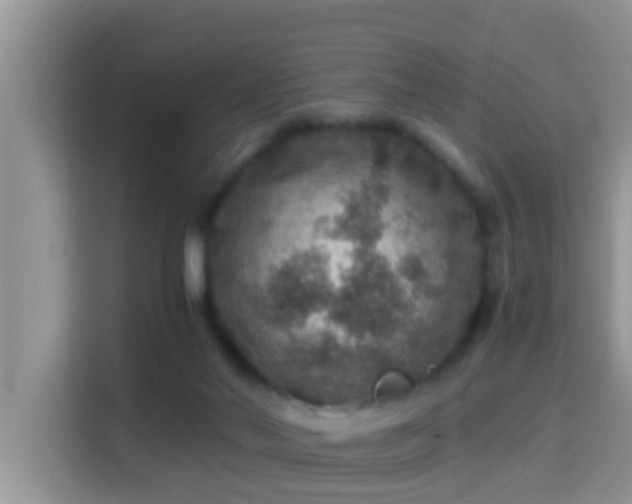 X0000116000022200911251109