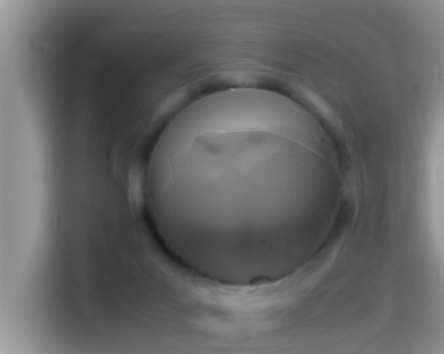 X0000116000023200911251109