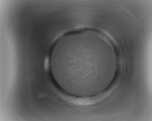 X0000116000024200911251109