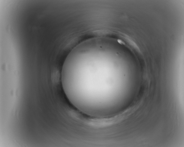 X0000116000025200911251109