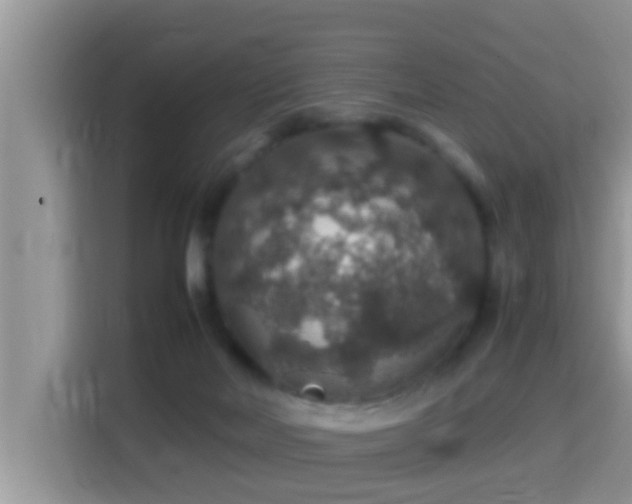 X0000116000026200911251109