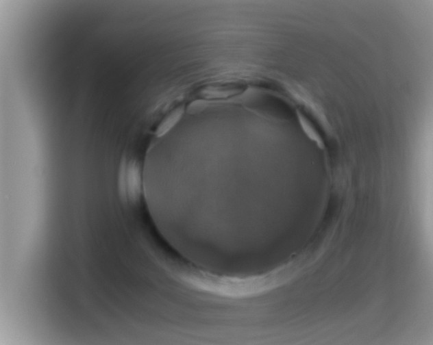 X0000116000027200911251109