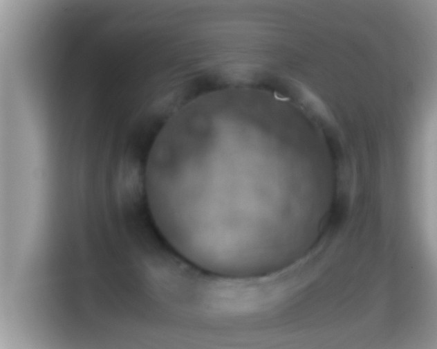 X0000116000029200911251109