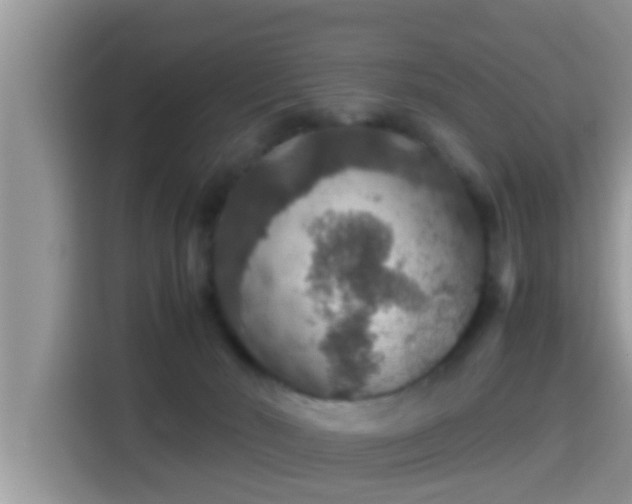 X0000116000030200911251109