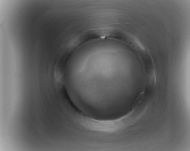 X0000116000031200911251109