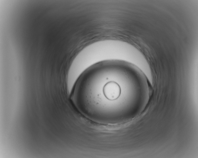 X0000116000033200911251109