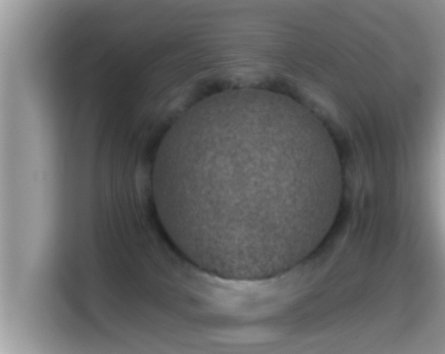 X0000116000034200911251109