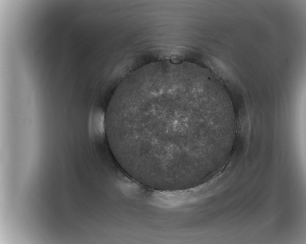 X0000116000041200911251109