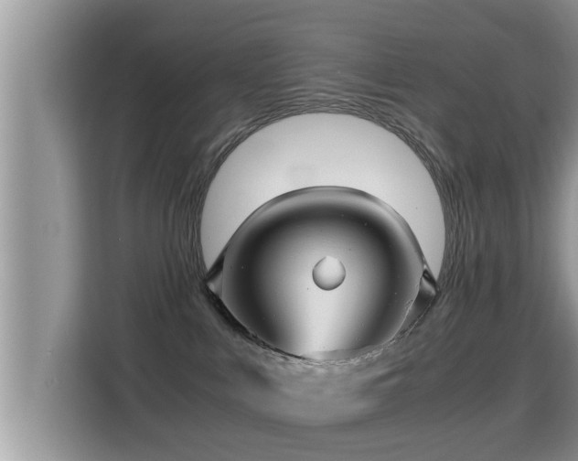 X0000116000043200911251109