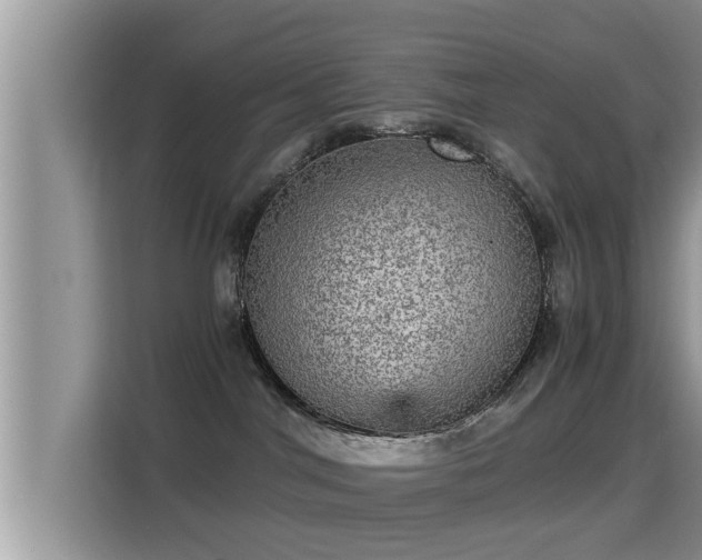 X0000116000044200911251109