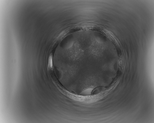 X0000116000046200911251109