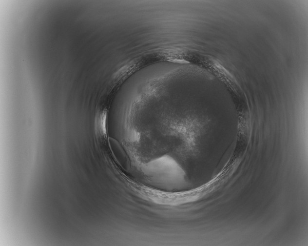 X0000116000047200911251109