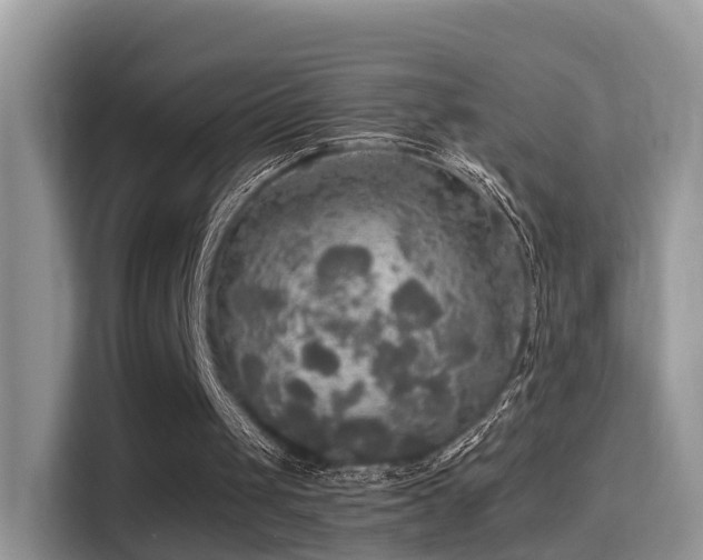 X0000116000049200911251108