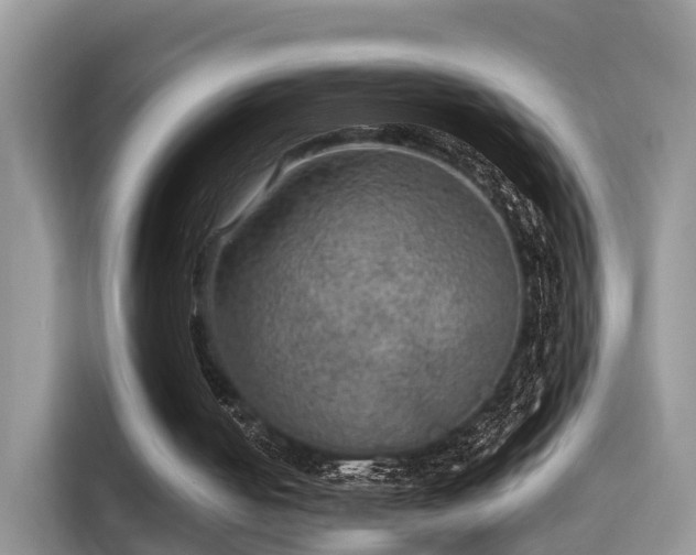 X0000116000050200911251108