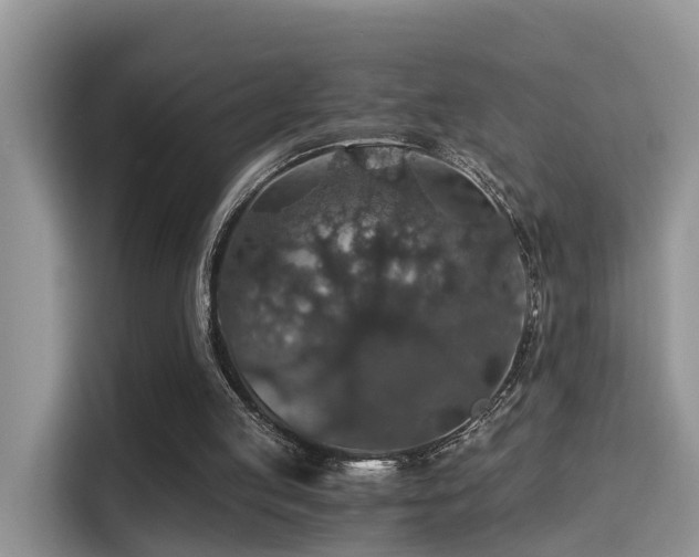 X0000116000053200911251108