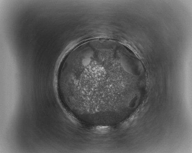 X0000116000055200911251108