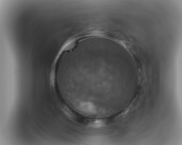 X0000116000056200911251108