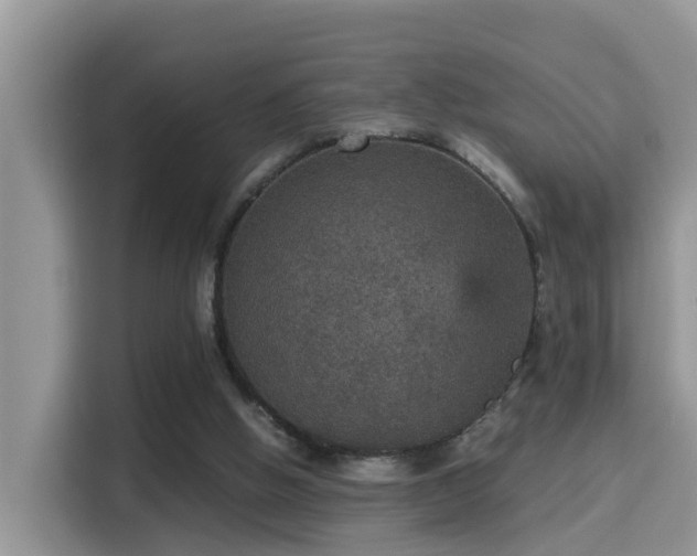 X0000116000058200911251108