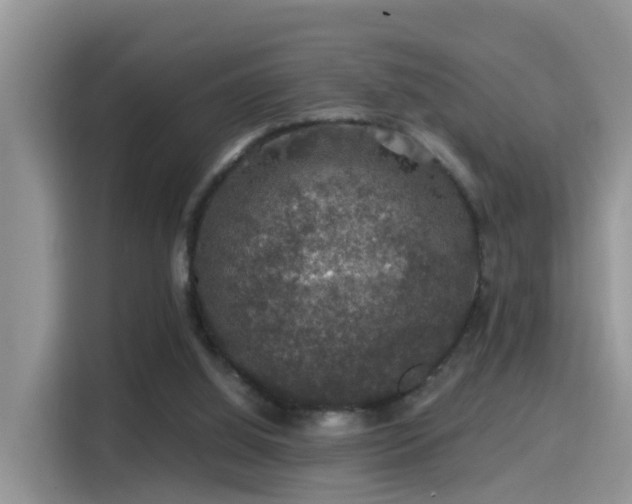 X0000116000060200911251108