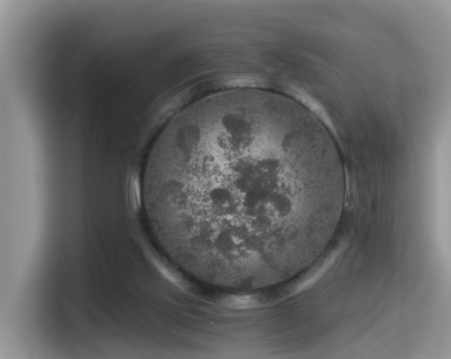 X0000116000061200911251108