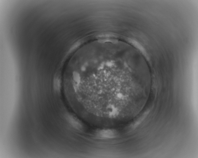 X0000116000063200911251108