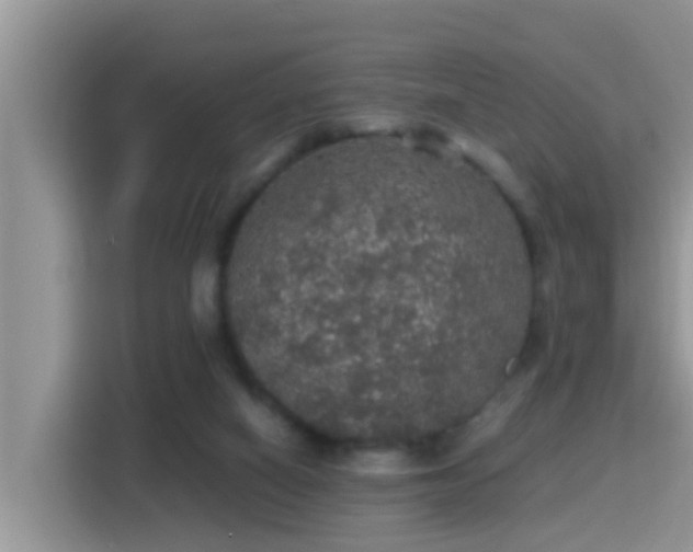 X0000116000066200911251108