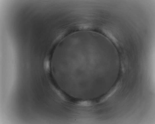 X0000116000067200911251109