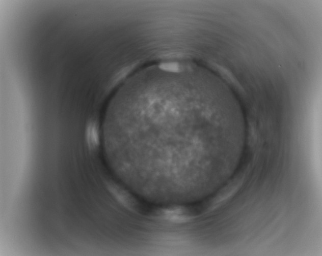 X0000116000068200911251109