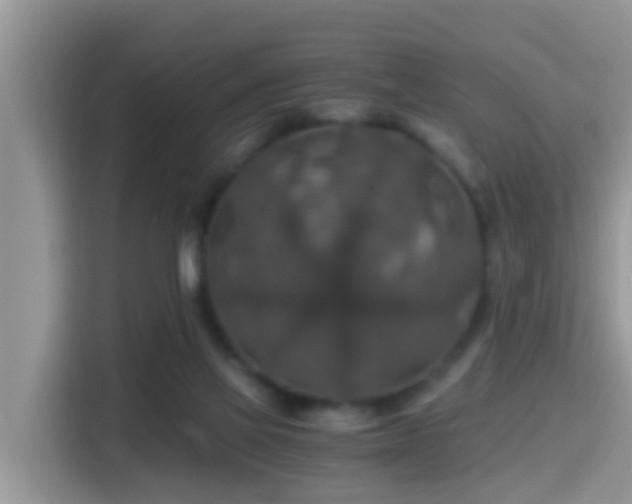 X0000116000069200911251109