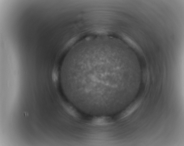 X0000116000072200911251109