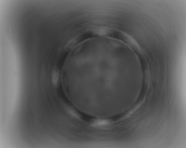 X0000116000073200911251109