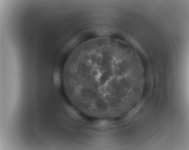 X0000116000074200911251109