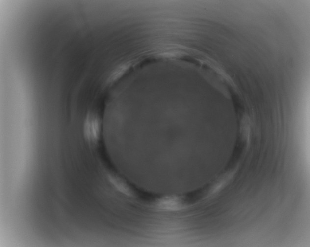 X0000116000076200911251109