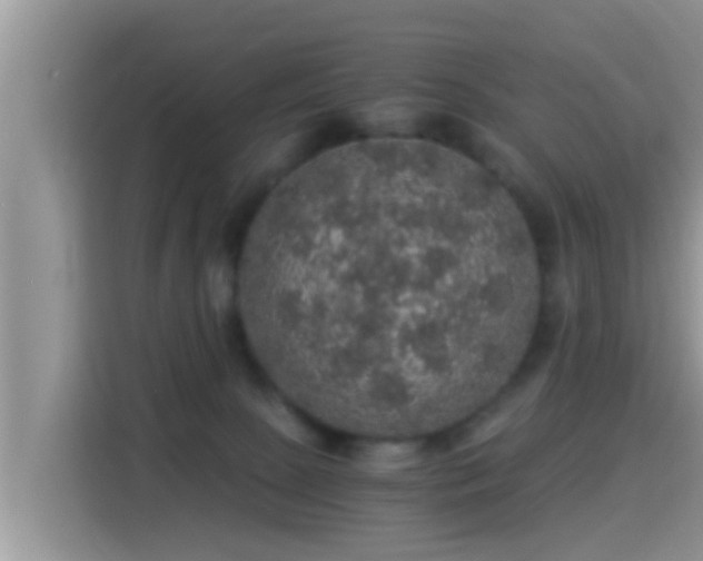 X0000116000081200911251109