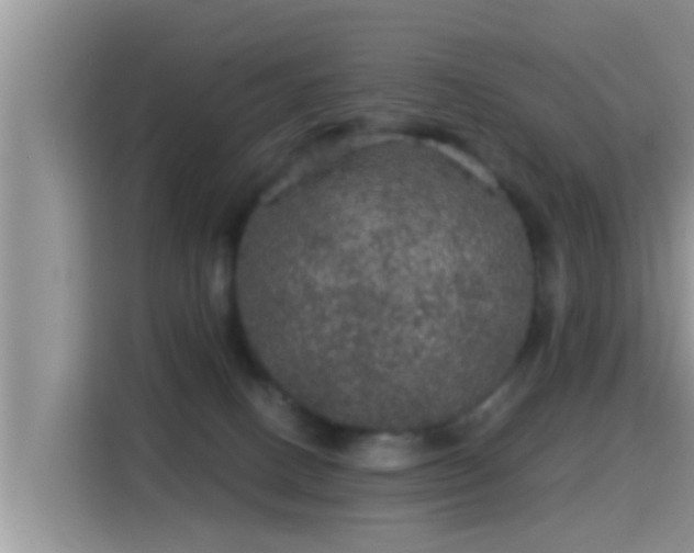 X0000116000082200911251109