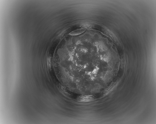 X0000116000093200911251109